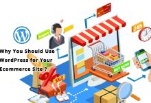 Why You Should Use WordPress for Your Ecommerce Site?