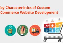 Key Characteristics of Custom eCommerce Website Development